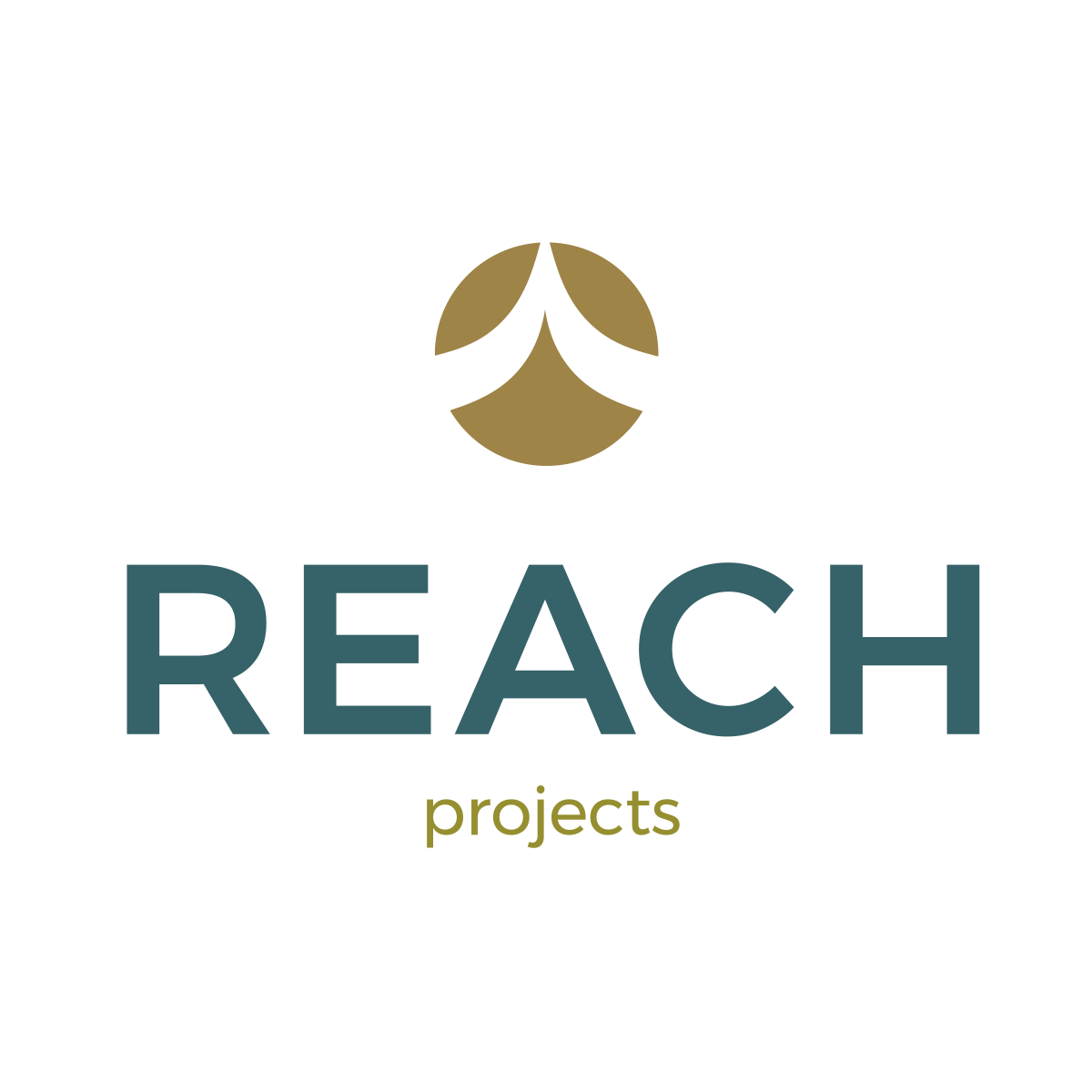 REACH Projects.png